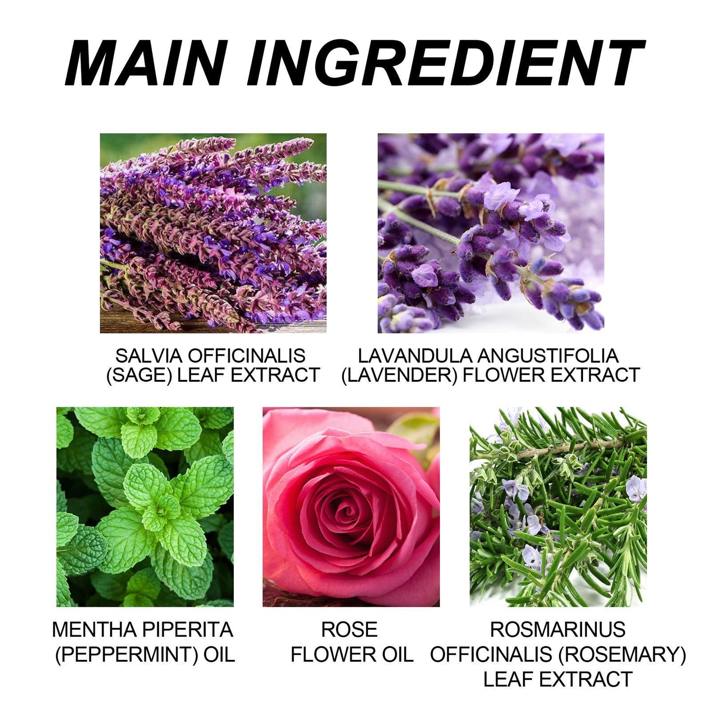 Goodnight Relaxation Patch – Essential Oil Sleep & Stress Relief Patch